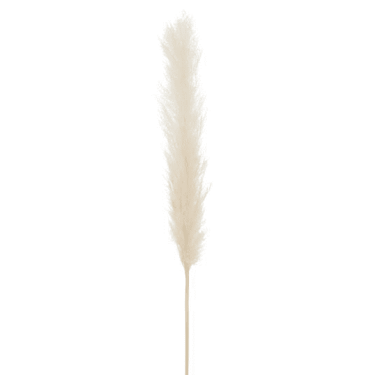Branch Feather Pampas Grass White Large